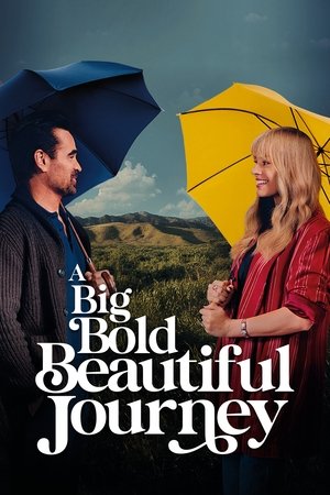 A Big Bold Beautiful Journey
